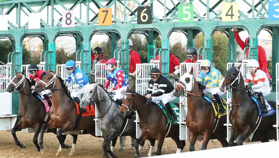 Brad Cox. Smarty Jones Stakes, Oaklawn Park, Catching Freedom
